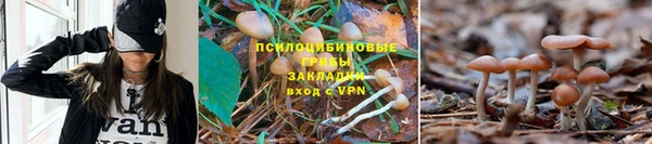 трава Бородино