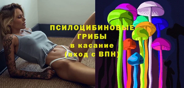 трава Бородино