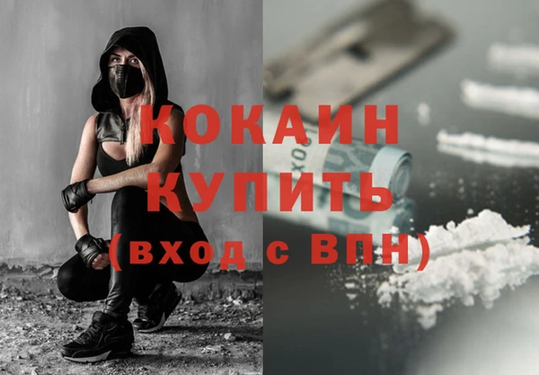 трава Бородино